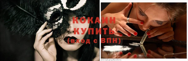 стаф Володарск