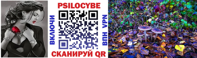 Псилоцибиновые грибы прущие грибы  Гагарин 